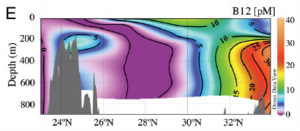 Figure 1: A profile of the upper ocean off of the California coast showing the variability of vitamin B12 distribution in the water column. Warm colors denote higher B12 concentrations and cool colors are low or negligible concentrations (Sañudo-Wilhelmy et al. 2012).