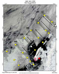 MODIS Terra sea ice image showing western Antarctic Peninsula region, PAL hydrographic stations (yellow circles) and cruise survey region. Black areas are open water. Black arrows show direction of travel. Triangles: physical oceanography moorings. Star: Rothera Base. Red arrow: Avian Island. Image constructed by ET Julian Race. 