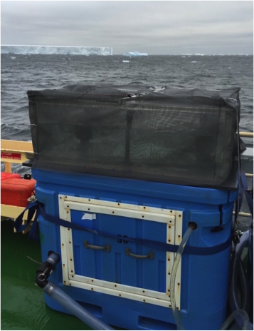 An incubator filled with flowing seawater and covered with screening material to stimulate 33% light level in the ocean. Bottles for my own experiments and for other scientists await filtering.